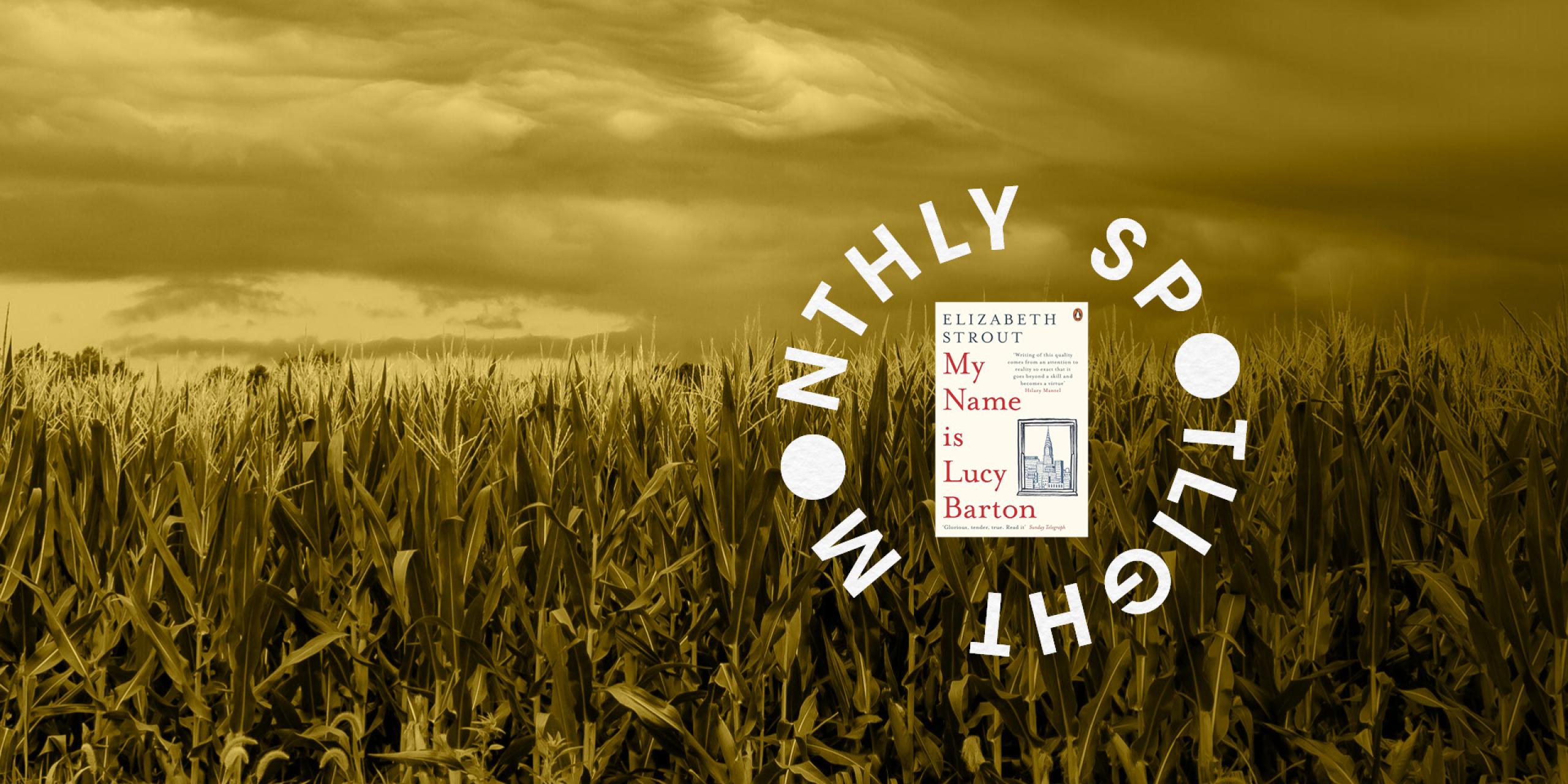 An image of cornfields